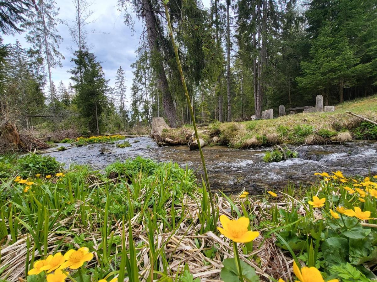 Apartment In Tatranska Strba/Near Strbske Pleso With Free Parking Εξωτερικό φωτογραφία